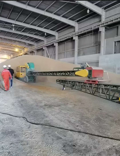 全自动出仓输送机